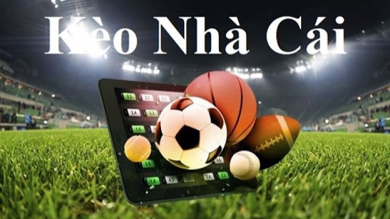 Sản Phẩm Cá Cược Bóng Đá Nổi Bật Tại I9BET