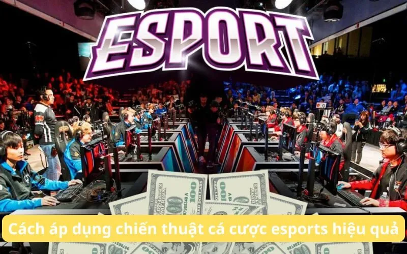 Cá Cược Thể Thao Điện Tử (Esports) I9BET: Kinh Nghiệm, Mẹo & Lưu Ý Quan Trọng